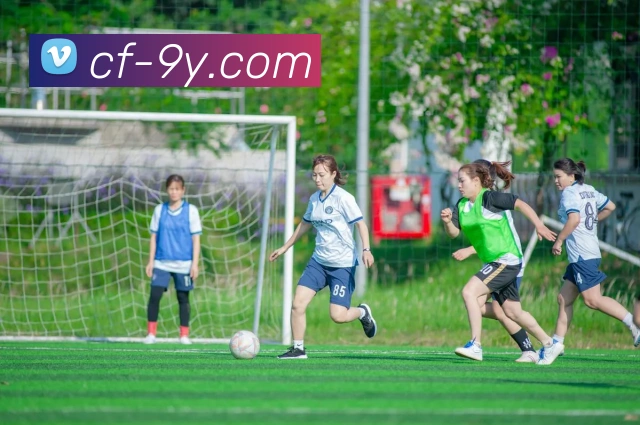 多媒体互动体验