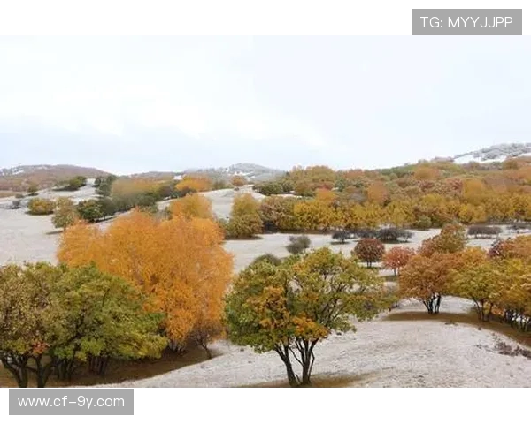 金发卷发足球明星在绿茵场上展现非凡速度与技巧风采魅力四射全场